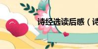 詩經選讀后感(詩經選)