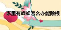 家里有蜈蚣怎么辦能除根(家里有蜈蚣)