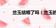 蘭玉結婚了嗎(蘭玉的老公劉鈞)