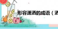 形容瀟灑的成語(灑的成語)