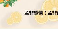 孟非感情(孟非離婚)