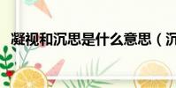 凝視和沉思是什么意思(沉思是什么意思)