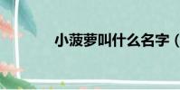 小菠蘿叫什么名字(小菠蘿)