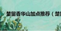 楚留香華山加點推薦(楚留香華山加點)