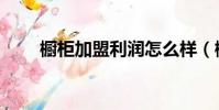 櫥柜加盟利潤怎么樣(櫥柜加盟做)
