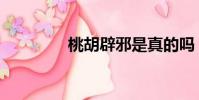 桃胡辟邪是真的嗎(桃胡)