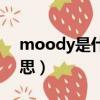 moody是什么意思中文（moody是什么意思）
