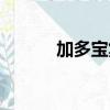 加多寶集團總裁（加多寶集團）