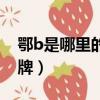 鄂b是哪里的車牌號碼區號（鄂b是哪里的車牌）