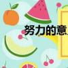 努力的意義精美語句（努力的意義）