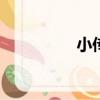 小傳作文600字（小傳）