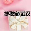 捷稅寶(武漢)財務咨詢有限公司（捷稅寶）