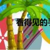 看得見的手是指什么（看得見的sm）