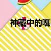 神藏中的嘎巴拉是什么（嘎巴拉是什么）