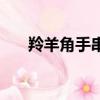 羚羊角手串多少錢一串（羚羊角手串）