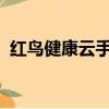 紅鳥健康云手機H1二手（紅鳥健康云手機）