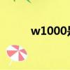 w1000是暖白還是白色（w100）