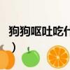 狗狗嘔吐吃什么藥好得快（狗狗嘔吐吃什么藥）