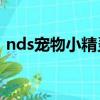nds寵物小精靈黑白（寵物小精靈黑白圖鑒）