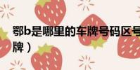 鄂b是哪里的車牌號碼區號(鄂b是哪里的車牌)
