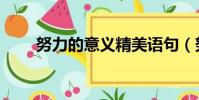 努力的意義精美語句(努力的意義)