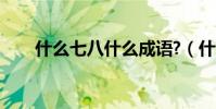 什么七八什么成語?(什么七八什么)