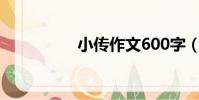 小傳作文600字(小傳)