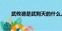 武攸德是武則天的什么人(武攸德)