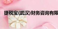 捷稅寶(武漢)財務咨詢有限公司(捷稅寶)
