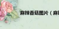 麻辣香菇圖片(麻辣香菇)
