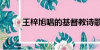 王梓旭唱的基督教詩歌(王梓旭)