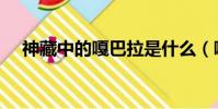 神藏中的嘎巴拉是什么(嘎巴拉是什么)