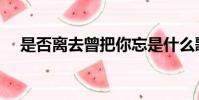 是否離去曾把你忘是什么歌(是否離去)