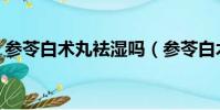 參苓白術丸袪濕嗎(參苓白術丸不適合濕熱)