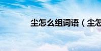 塵怎么組詞語(塵怎么組詞)