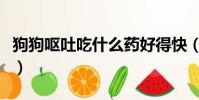 狗狗嘔吐吃什么藥好得快(狗狗嘔吐吃什么藥)