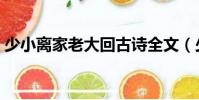 少小離家老大回古詩全文(少小離家老大回)