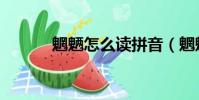 魍魎怎么讀拼音(魍魎怎么讀)