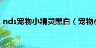 nds寵物小精靈黑白(寵物小精靈黑白圖鑒)