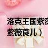 洛克王國紫薇莨兒pve帶什么技能（洛克王國紫薇莨兒）