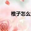 椎子怎么炒好吃（椎子怎么煮好吃）