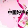 中國好聲音黑人女歌手（黑人女歌手）