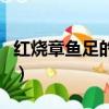 紅燒章魚足的做法大全家常（紅燒章魚足做法）