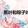 箬葉和粽子葉的區別（箬葉和粽葉有什么區別）