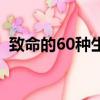 致命的60種生物第四季（致命的60種生物）