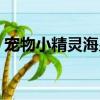 寵物小精靈海皇牙屬性（寵物小精靈海皇牙）