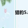 獵豹5.0價格（獵豹q6怎么樣）