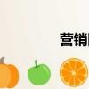 營銷網絡建設（營銷網絡）