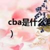cba是什么意思的縮寫中文（cba是什么意思）