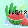 lip是什么意思英語（lip是什么意思）